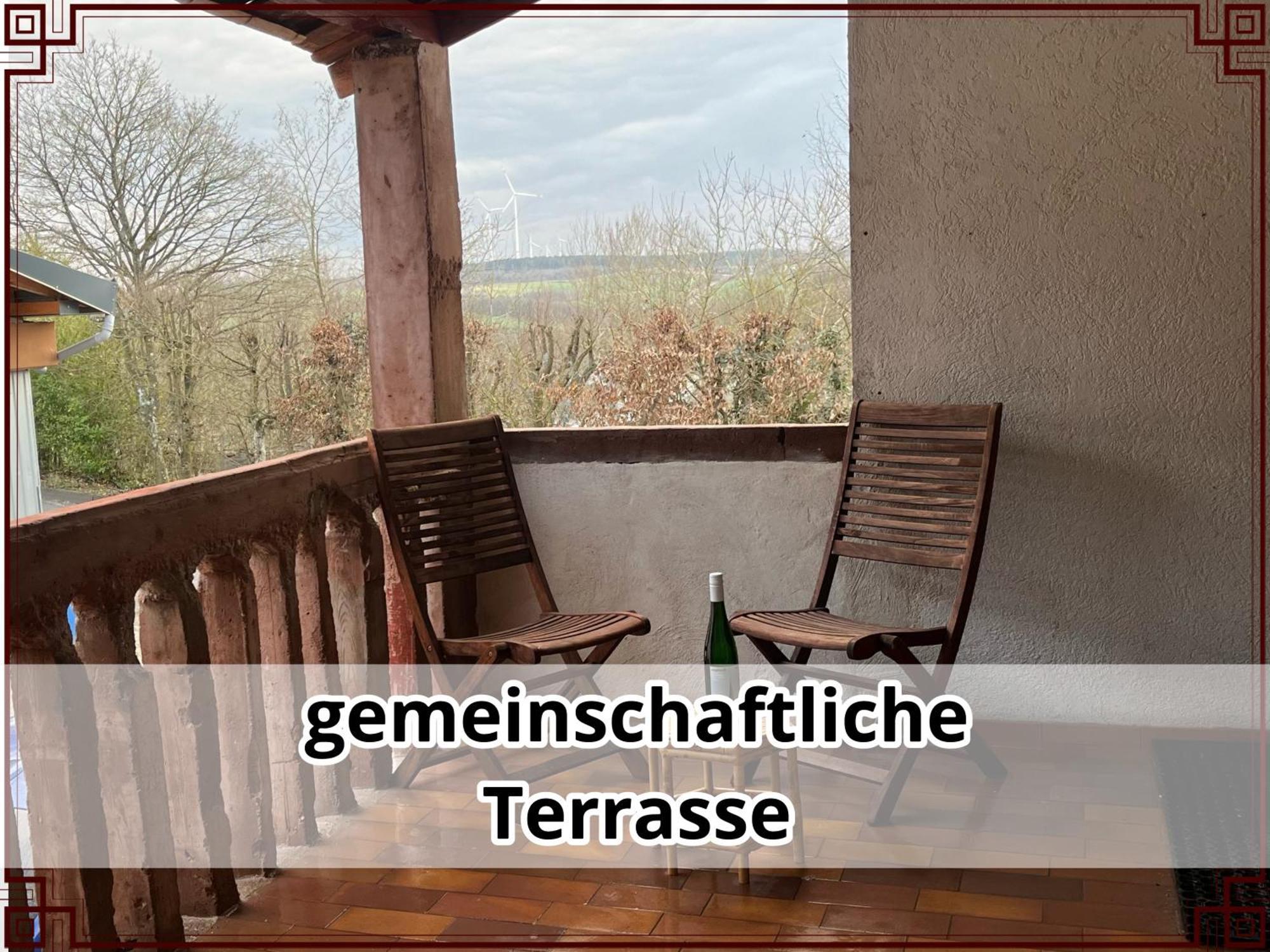Smallsaigon Apartment Mit Guter Anbindung Zwischen Mosel Und Rhein Leiningen Exterior photo